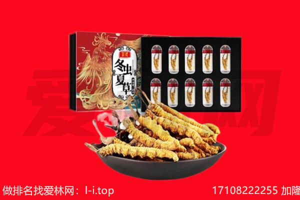 乐山市回收虫草.jpg
